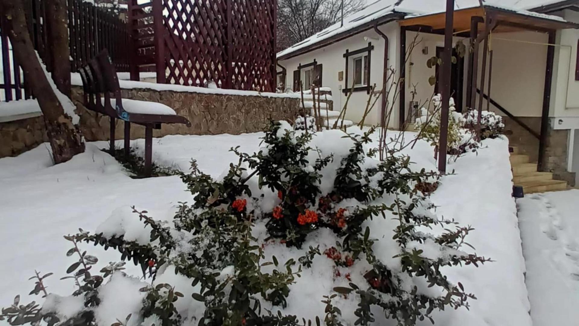 Casa Tihna Villa Băile Olăneşti Exterior foto